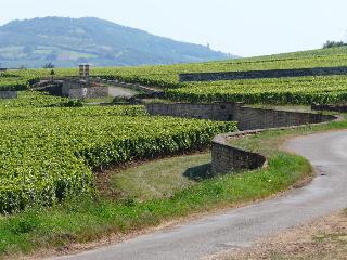 La Chouette, Beaune