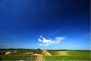General view thumbnail 28