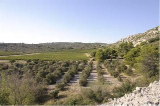 General view thumbnail 41