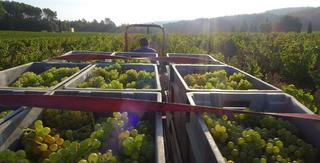 Clos de l'Ours, Golfe de Saint Tropez
