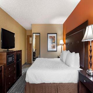 Room Room