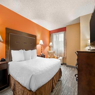 Room Room