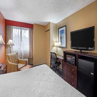 Room Room