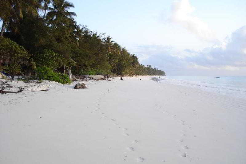 General view thumbnail 6