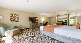 1 KING BED,NSMK,HISPD,MICRFG,COFMKR,IRON,WALKSH,CONTINENTAL BREAKFAST