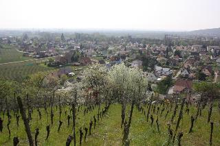 Auberge Du Brand, Colmar
