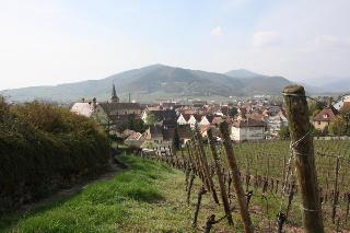 Auberge Du Brand, Colmar