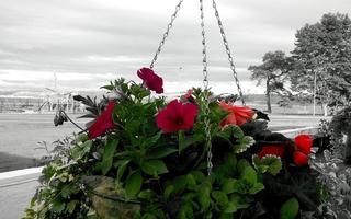 Glenmorag Hotel, Argyll