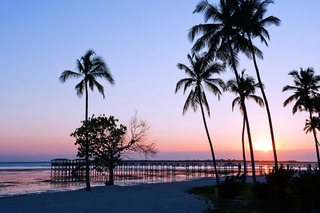 General view thumbnail 10