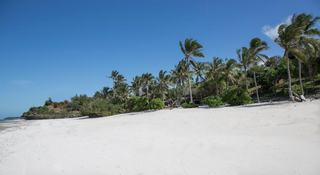 Beach thumbnail 19