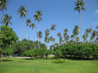 Trikora Beach Club & Resort