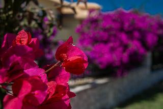 Keri Village & Spa by Zante Plaza