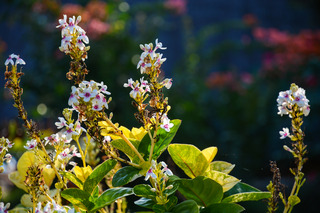 General view thumbnail 23