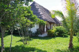 Terrace thumbnail 14