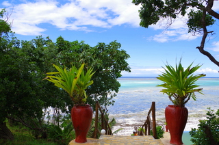 Terrace thumbnail 21