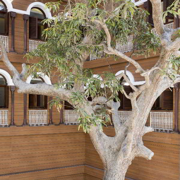 Terrace thumbnail 18