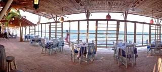 Restaurant thumbnail 4