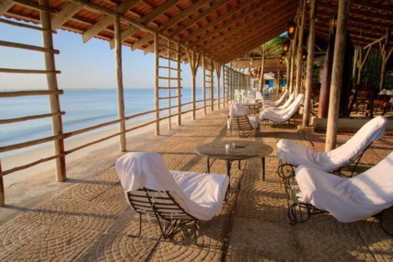 Terrace thumbnail 13