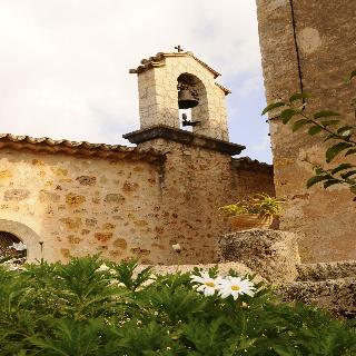 Asis de Marratxinet