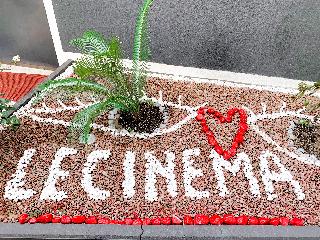 Hotel Le Cinéma, Rimini