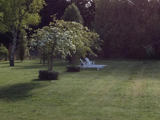 General view thumbnail 9