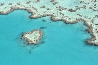 at Whitsunday Vista Holiday Apartments