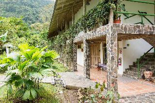 Bosque De Paz