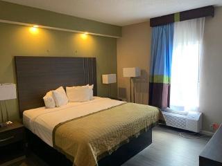 Room Room