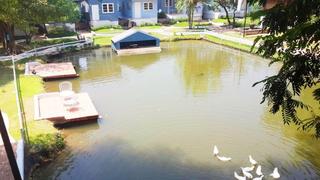 General view thumbnail 39