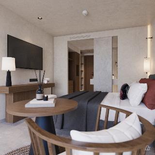 Room Room