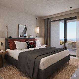 Room Room