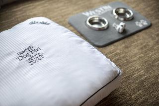 The Westin Doha Hotel & Spa, Doha