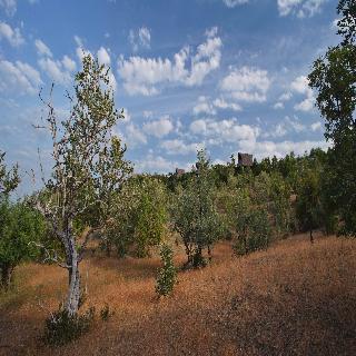 General view thumbnail 2