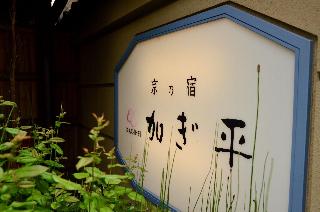 整體概覽