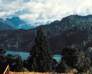 General view