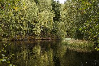 Macdonald Lochanhully Resort, Inverness