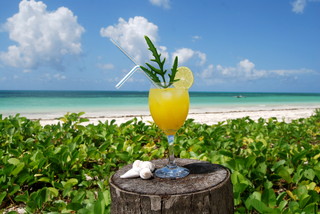 Bar thumbnail 12