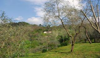 Borgo Giusto, Lucca
