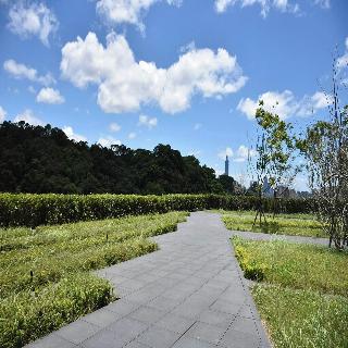 整體概覽