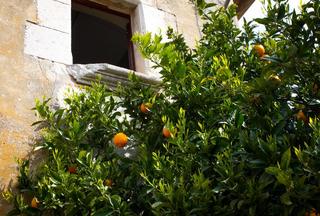 La Rectoria De Regencos La Rectoria De Regencos