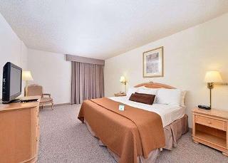 Room Room
