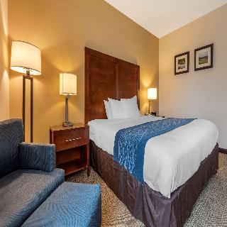 Room Room