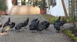 St Lucia Wetlands Guesthouse