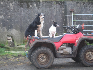 Dieskirt Farm, County Antrim