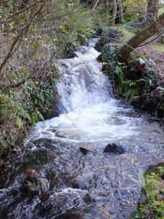 The Burn B&B, County Antrim