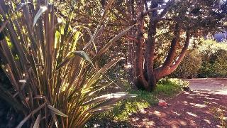 General view thumbnail 11