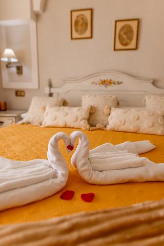 Room Room