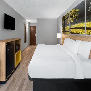 Room Room