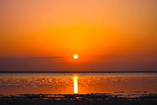 Beach thumbnail 15