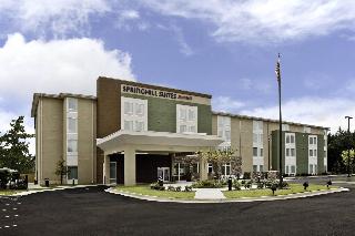 SpringHill Suites Mobile